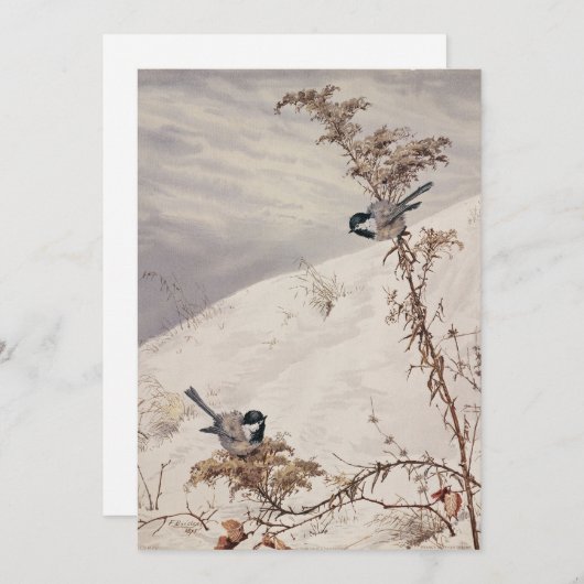 augustus | Fidelia Bridges (Voorkant / Achterkant)