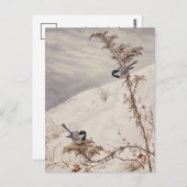 augustus | Fidelia Bridges Briefkaart (Voorkant / Achterkant)