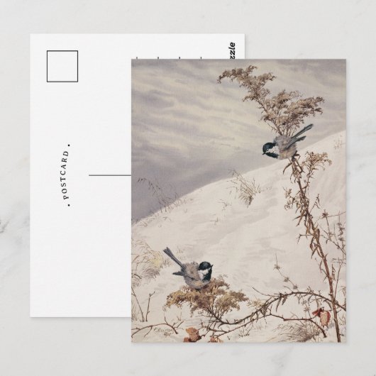 augustus | Fidelia Bridges Briefkaart (Voorkant / Achterkant)