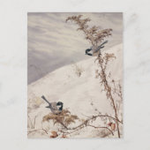 augustus | Fidelia Bridges Briefkaart (Voorkant)