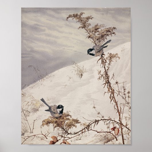 augustus | Fidelia Bridges Poster (Voorkant)