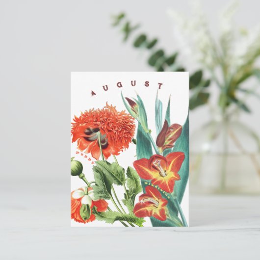 Augustus Maand Bloemen Gladiolus & Poppy | Briefkaart (Staand voorkant)