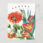 Augustus Maand Bloemen Gladiolus & Poppy | Briefkaart (Voorkant)