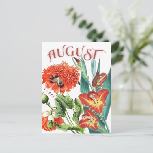 Augustus Maand Bloemen Gladiolus & Poppy Fancy Briefkaart (Staand voorkant)
