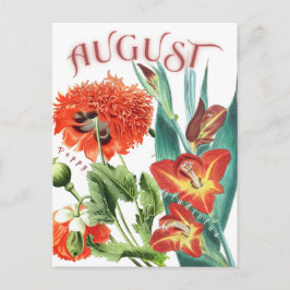 Augustus Maand Bloemen Gladiolus & Poppy Fancy Briefkaart