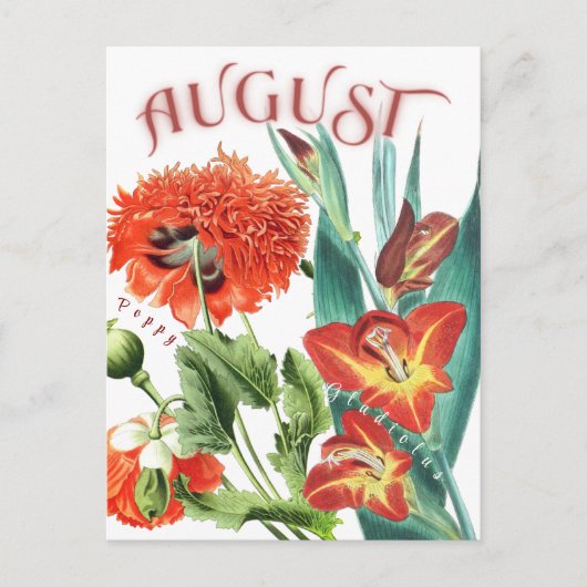 Augustus Maand Bloemen Gladiolus & Poppy Fancy Briefkaart (Voorkant)
