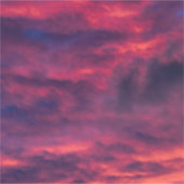 augustus rood sticker (Voorkant)