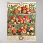 Augustus, 'Twaalf maanden fruit' Poster (Voorkant)