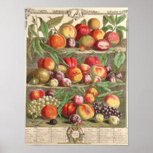 Augustus, 'Twaalf maanden fruit' Poster