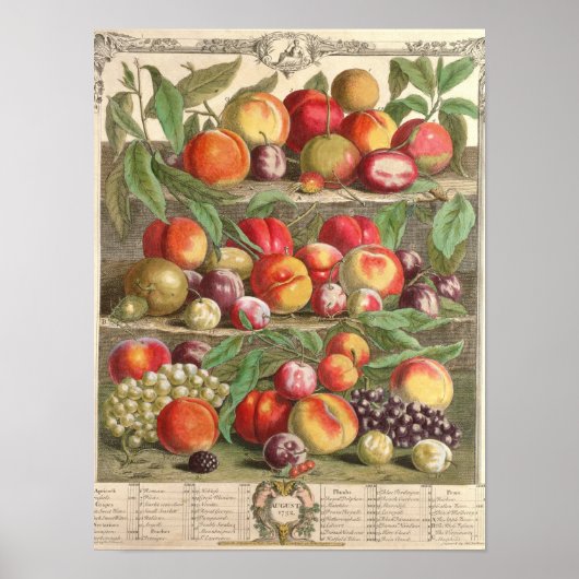 Augustus, 'Twaalf maanden fruit' Poster (Voorkant)