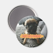 Augustus "Vecht als een franchise" Pin Magneet (Voorkant / Achterkant)