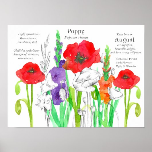 Augustus Verjaardag Papavers Gladiolus Geboorte Bl Poster (Voorkant)