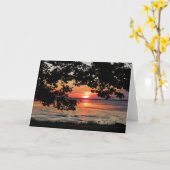 Augustus zonsopgang bij Nelson Park Kaart (Gele Bloem)