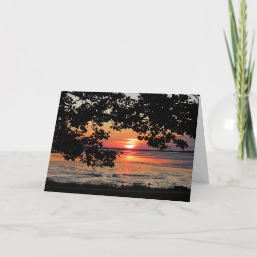 Augustus zonsopgang bij Nelson Park Kaart (Voorkant)