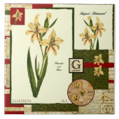 Augustus's Bloem Tegeltje (Voorkant)