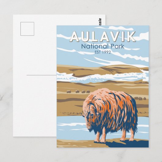 Aulavik National Park Canada Musk Ox  Briefkaart (Voorkant / Achterkant)