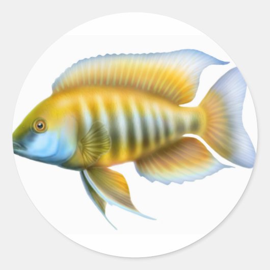 Aulonocara African Peacock Cichlid Ronde Sticker (Voorkant)