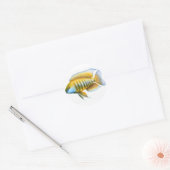 Aulonocara African Peacock Cichlid Ronde Sticker (Envelop)