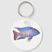 Aulonocara pauock sleutelhanger (Voorkant)