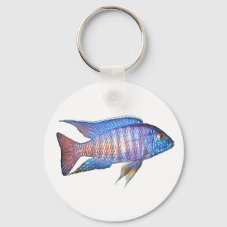 Aulonocara pauock sleutelhanger