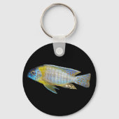 Aulonocara steveni sleutelhanger (Voorkant)