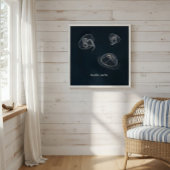 Aurelia aurita Educatief Poster