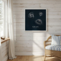 Aurelia aurita Educatief Poster