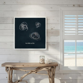 Aurelia aurita Educatief Poster