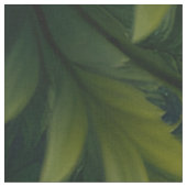 Auren – Kleine Smaragd Bosdraak Stof (Close Up)