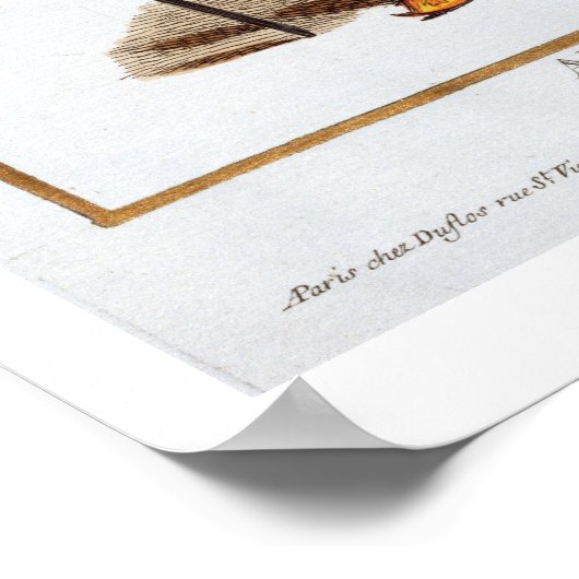 Aurengzeb, Great Khan of the Mongol Hordes from Re Poster (Hoek)