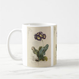 Auricula door Paul Jerrard Koffiemok