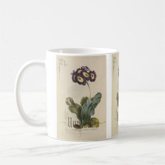 Auricula door Paul Jerrard Koffiemok (Links)