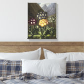 Auriculas van Dr. John Robert Thornton Canvas Afdruk (Insitu (Slaapkamer))