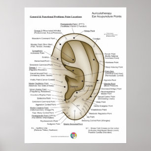Auriculotherapie Ooracupunctuur Poster