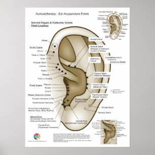 Auriculotherapie Ooracupunctuur Poster