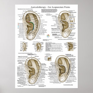 Auriculotherapie Oorspronkelijke punctiepunten Gra Poster