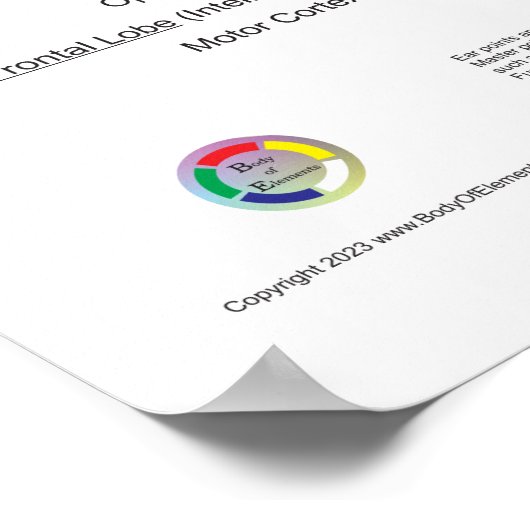 Auriculotherapy Ear Acupuncture Poster (Hoek)