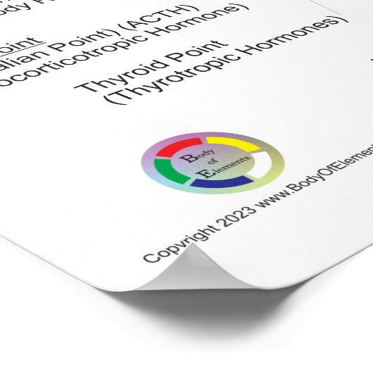 Auriculotherapy Ear Acupuncture Poster (Hoek)