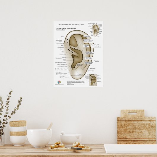 Auriculotherapy Ear Acupuncture Poster (Keuken)