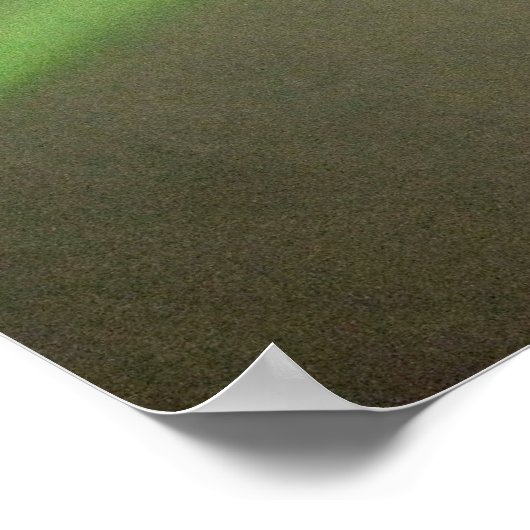 Aurora Australis uit de ruimte Poster (Hoek)