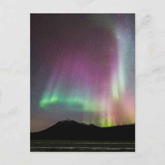 Aurora Borealis Alaska Brooks Range, Alaska Briefkaart (Voorkant)