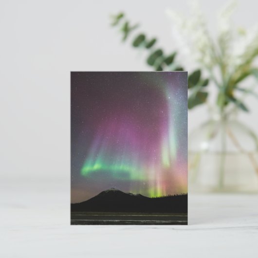 Aurora Borealis Alaska Brooks Range, Alaska Briefkaart (Staand voorkant)