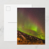 Aurora Borealis | Bergen Fairbanks Alaska Briefkaart (Voorkant / Achterkant)