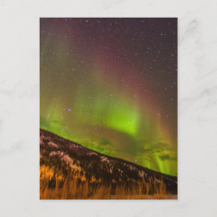 Aurora Borealis   Bergen Fairbanks Alaska Briefkaart
