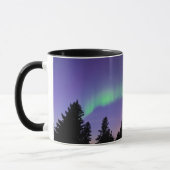 Aurora Borealis & Bomen | Manitoba, Canada Mok (Links)