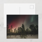 Aurora Borealis Boven Besneeuwd Bos Briefkaart (Voorkant / Achterkant)