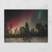 Aurora Borealis Boven Besneeuwd Bos Briefkaart (Voorkant)