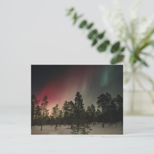 Aurora Borealis Boven Besneeuwd Bos Briefkaart (Staand voorkant)