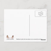 Aurora Borealis Briefkaart (Achterkant)