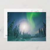 Aurora Borealis Briefkaart (Voorkant / Achterkant)